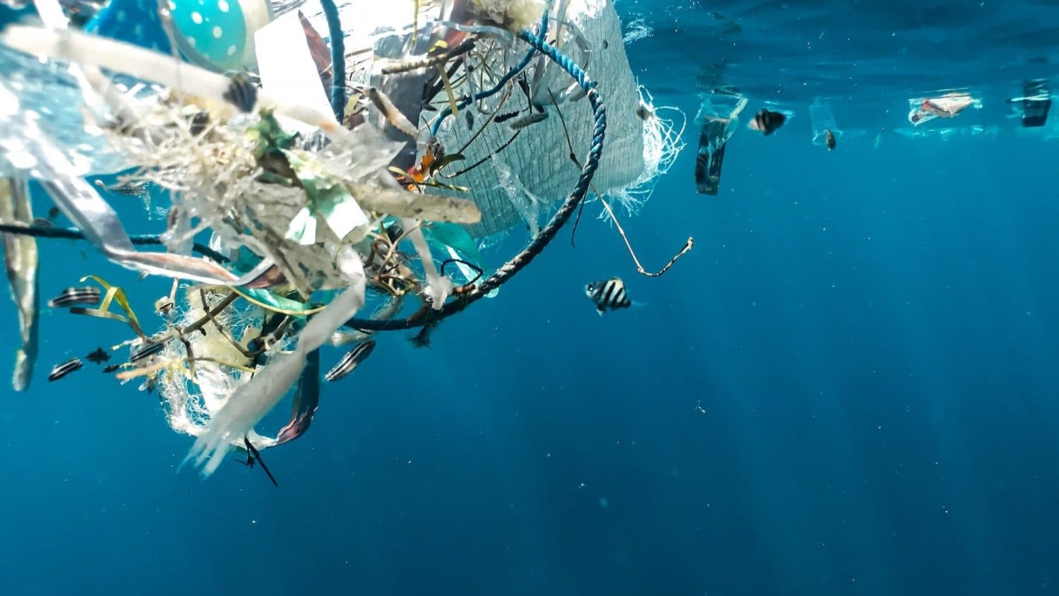 The Staggering Rise of Ocean Plastic: A Call to Action