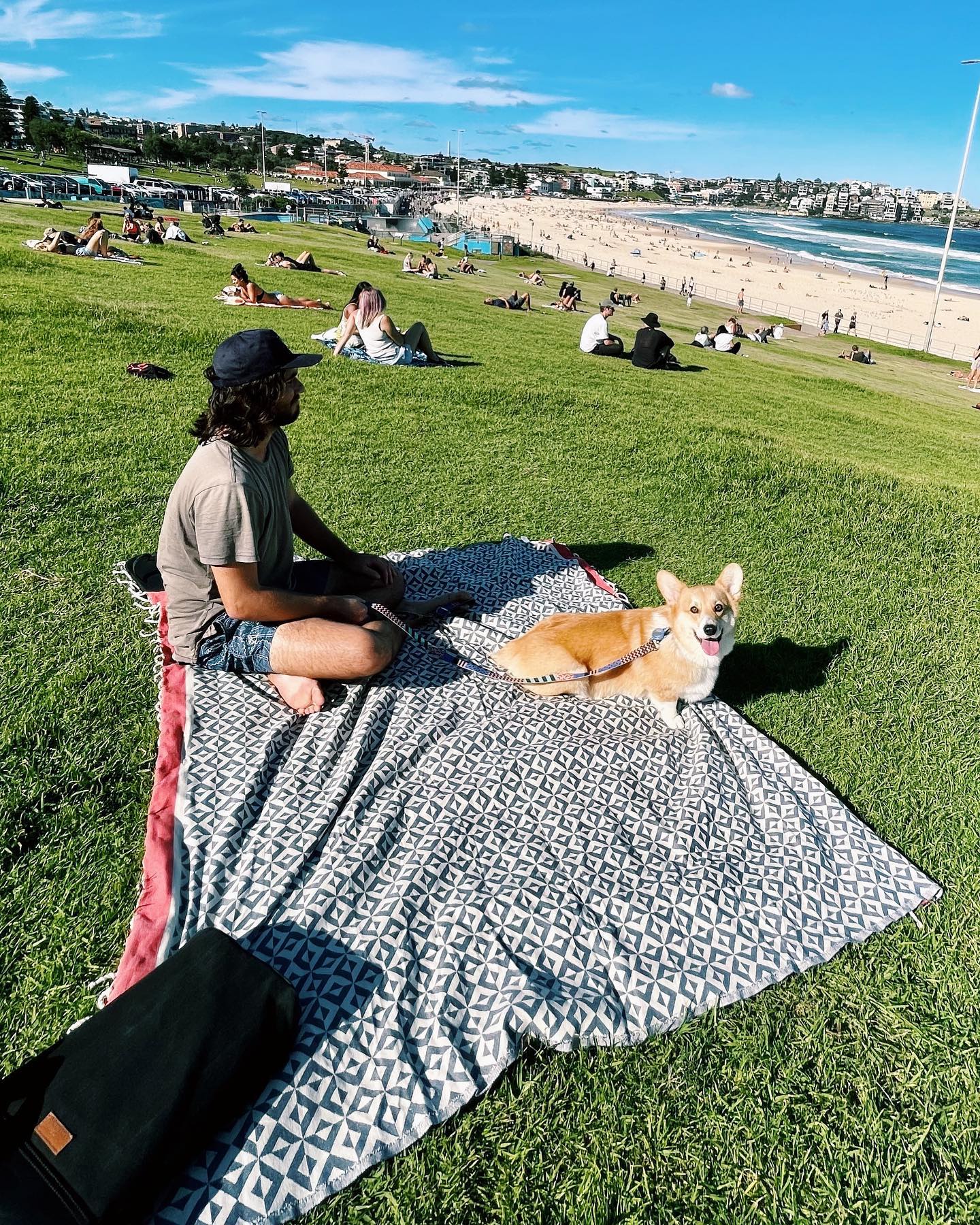 Jackie Black Family Sized Beach Towels Jackie Collection